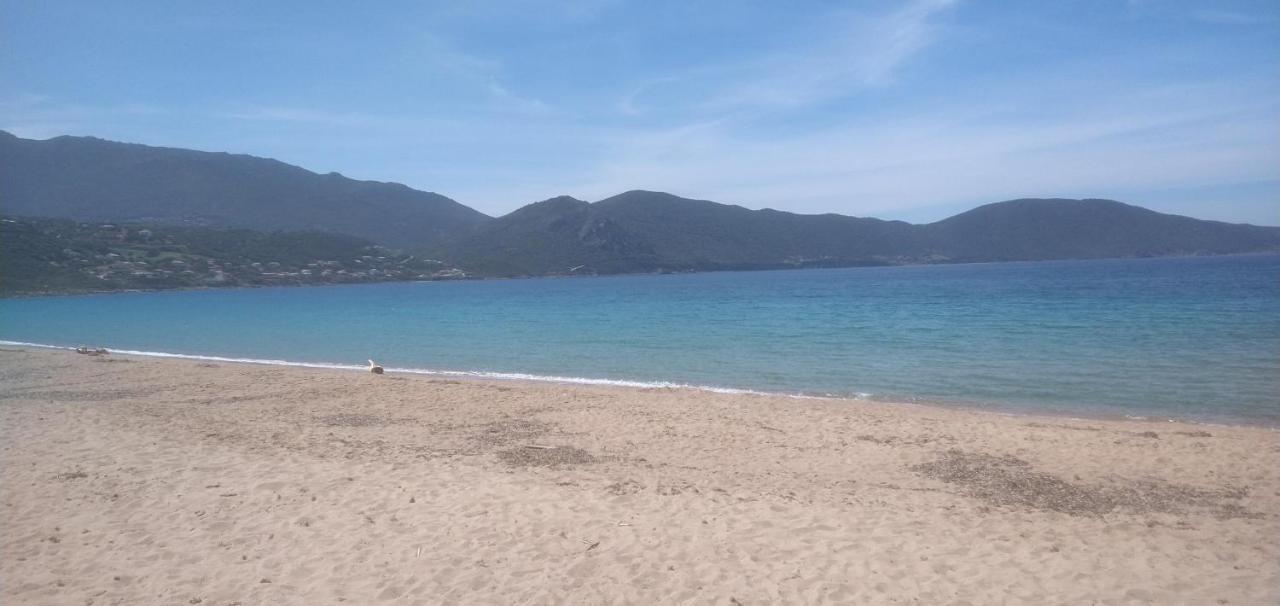 Maison De 4 Chambres De Front De Mer Corse-Du-Sud アピエット エクステリア 写真